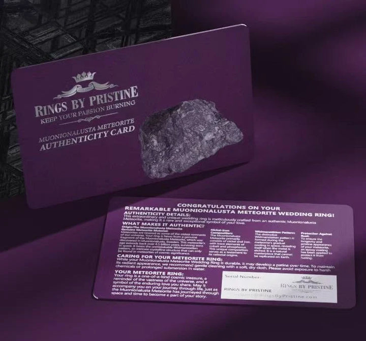 Muonionalusta Meteorite Tungsten Mens Wedding Band 8MM - Rings By Pristine