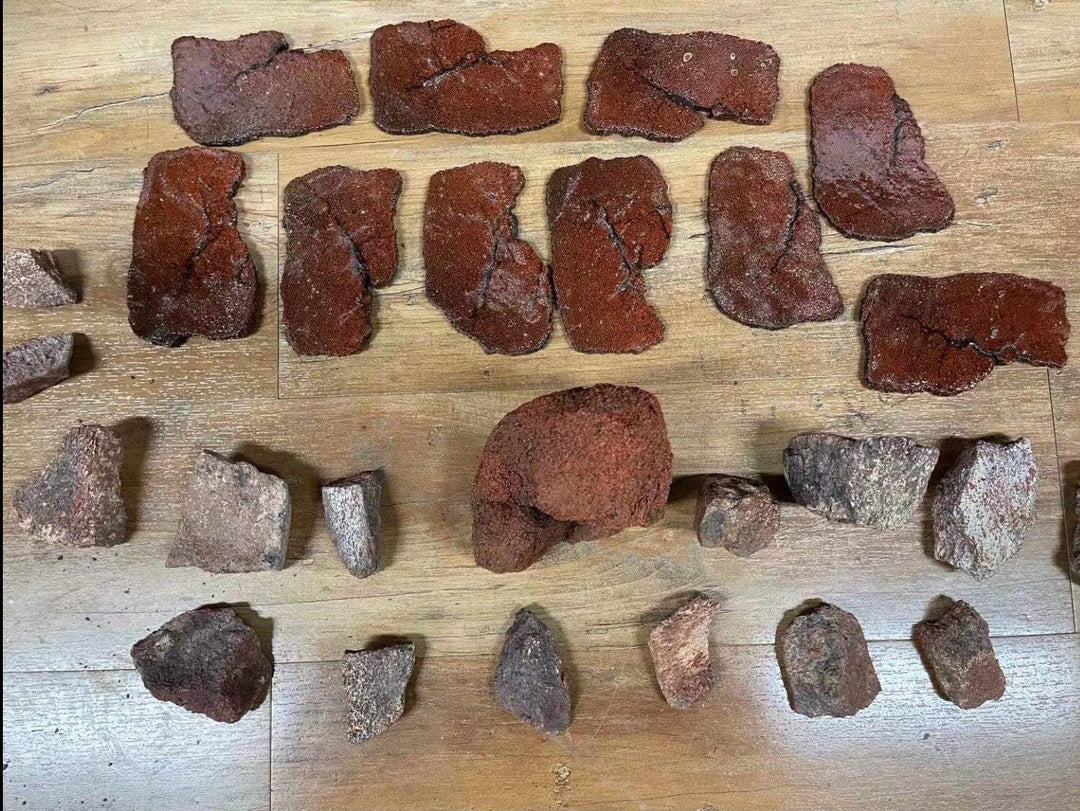 Red Rex Dinosaur Bone Tungsten Men's Wedding Band 4MM-8MM - Rings By Pristine